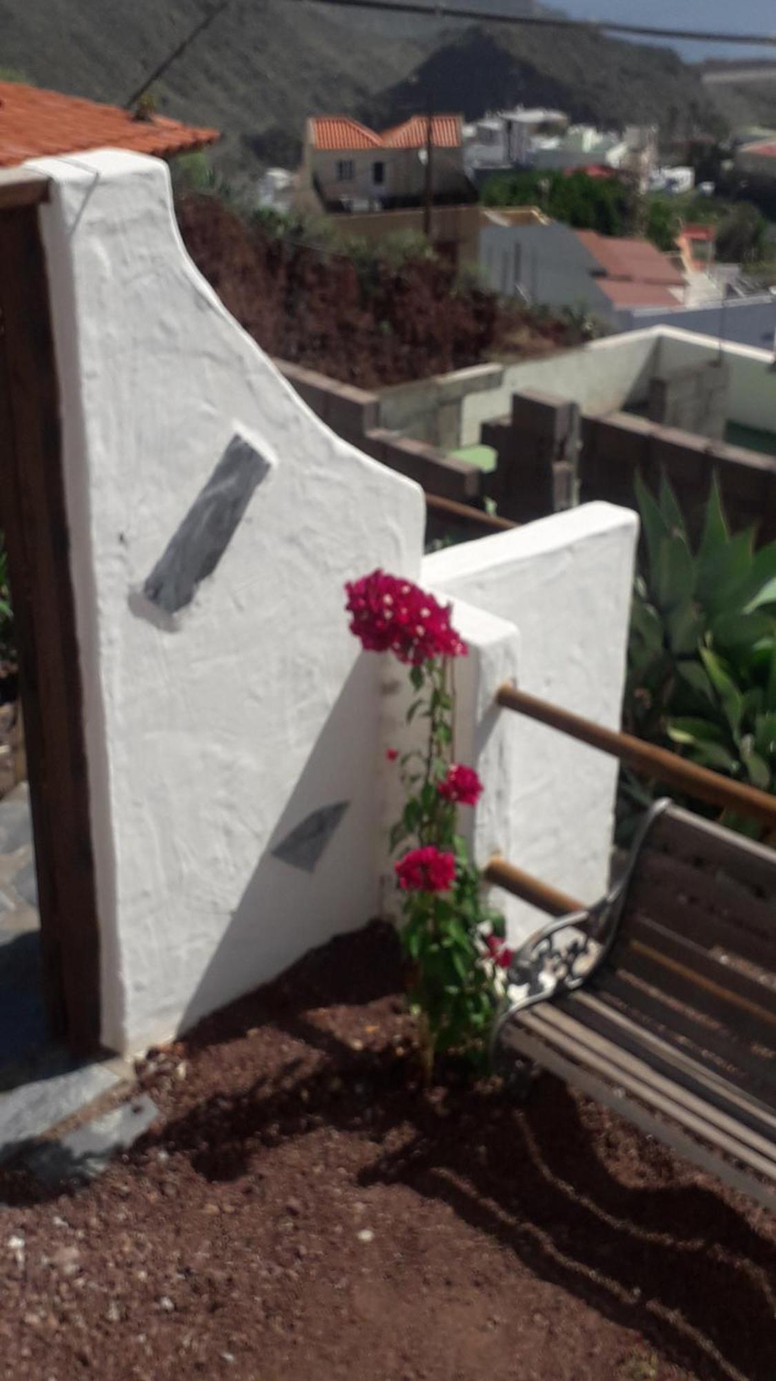 Nueva Casa Rural Piscina Privada サンタクルスデテネリフェ エクステリア 写真